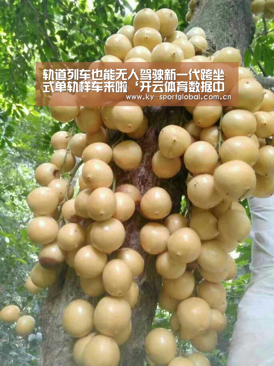开云体育