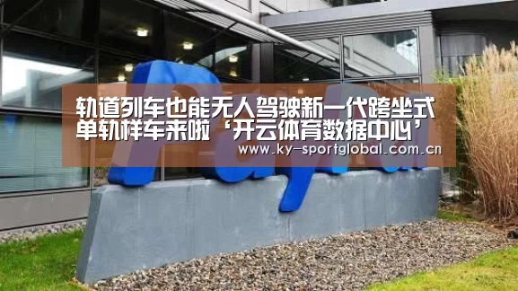 开云入口