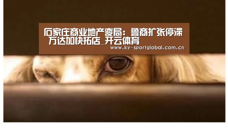 石家庄商业地产变局:鲁商扩张停滞 万达加快拓店_开云体育(图2) 开云体育